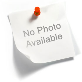 no image 01.jpg